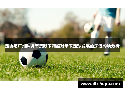 足协与广州队调节费政策调整对未来足球发展的深远影响分析 足协与广州队调节费政策调整对未来足球发展的深远影响分析