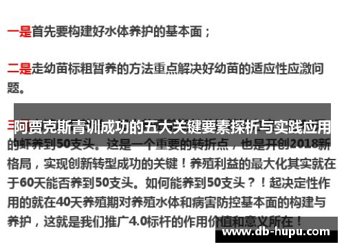 阿贾克斯青训成功的五大关键要素探析与实践应用