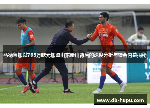 马德鲁加以765万欧元加盟山东泰山背后的深度分析与转会内幕揭秘